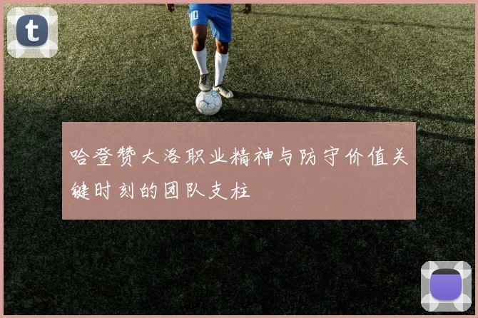 哈登赞大洛职业精神与防守价值关键时刻的团队支柱