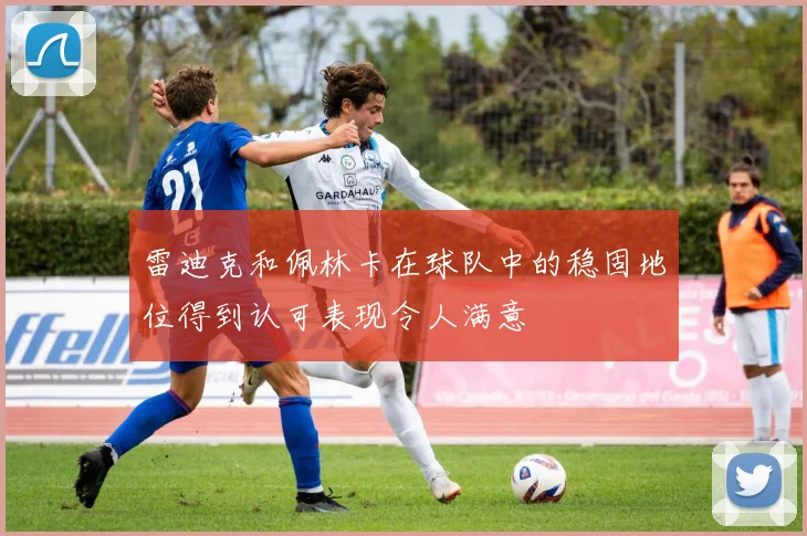 雷迪克和佩林卡在球队中的稳固地位得到认可表现令人满意