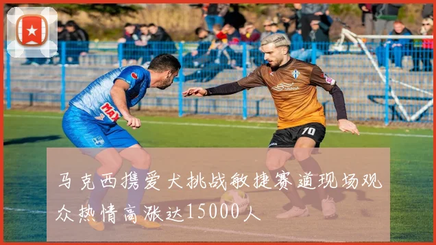 马克西携爱犬挑战敏捷赛道现场观众热情高涨达15000人