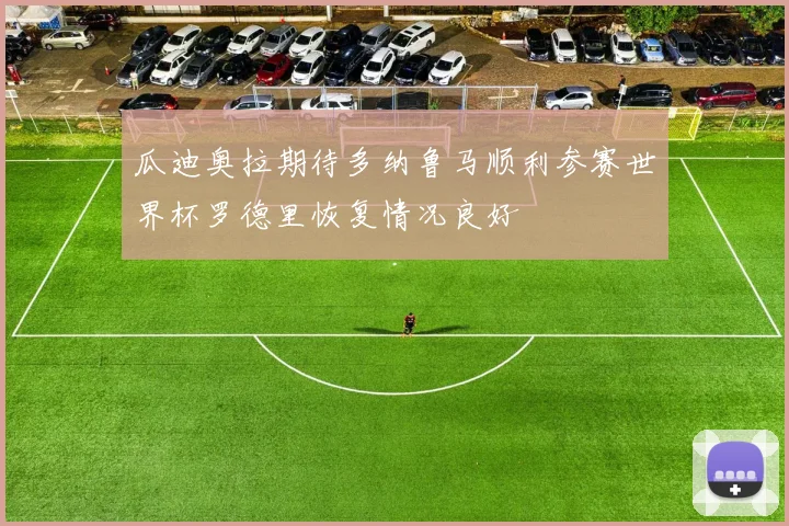 瓜迪奥拉期待多纳鲁马顺利参赛世界杯罗德里恢复情况良好