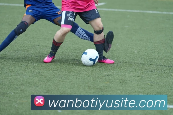 万博体育平台生态图