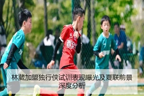 林葳加盟独行侠试训表现曝光及夏联前景深度分析